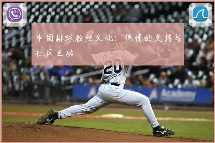 中国排球粉丝文化：热情的支持与社区互动