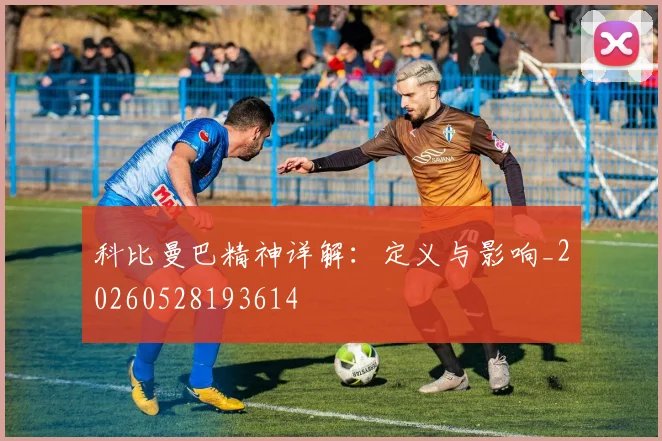 科比曼巴精神详解:定义与影响_20260528193614