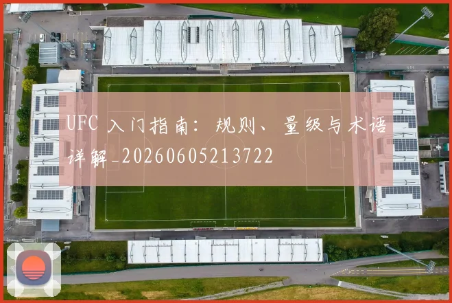UFC 入门指南:规则、量级与术语详解_20260605213722