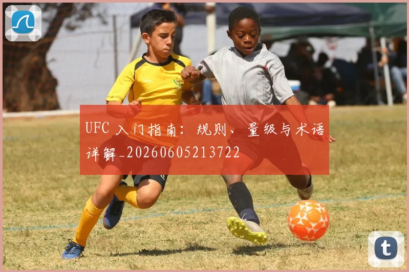 UFC 入门指南:规则、量级与术语详解_20260605213722