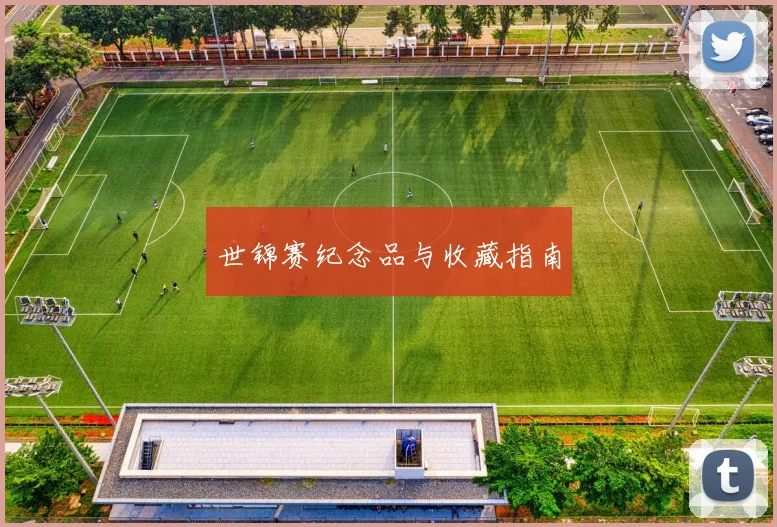 世锦赛纪念品与收藏指南