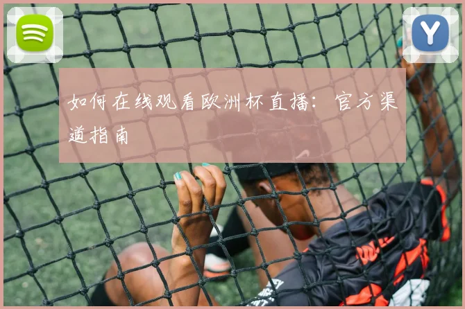 如何在线观看欧洲杯直播：官方渠道指南