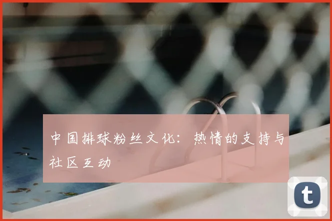中国排球粉丝文化:热情的支持与社区互动